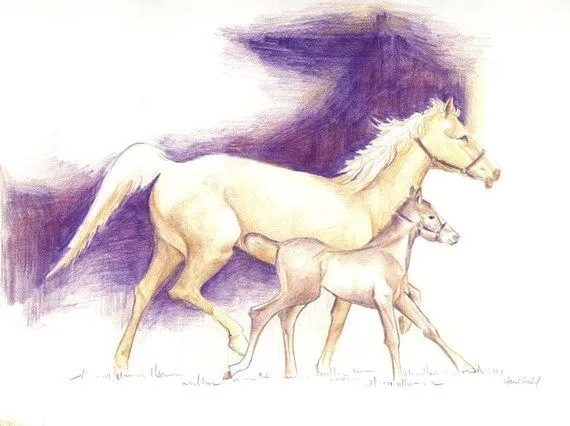 Color original dibujo lápiz caballo caballos potro por Sketchery