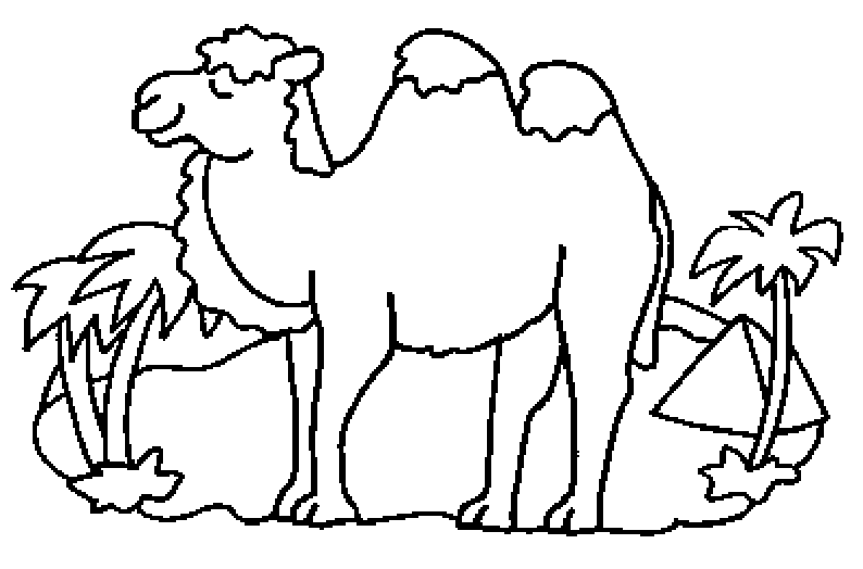 COLOREA TUS DIBUJOS: Camello en Oasis
