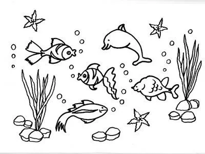 COLOREA TUS DIBUJOS: Dibujo de peces para colorear