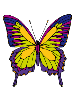Colorea dibujos de mariposas - Mariposa rumiante