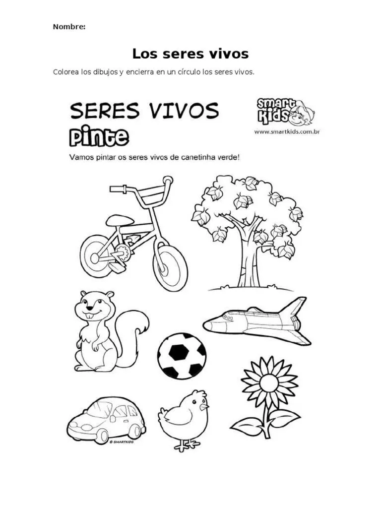 Colorea Los Seres Vivos | PDF