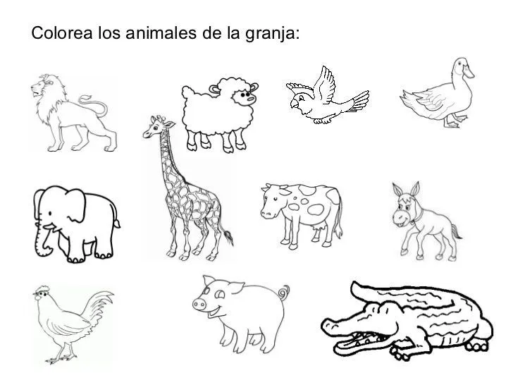 Animales domesticos y salvajes para colorear en inglés - Imagui