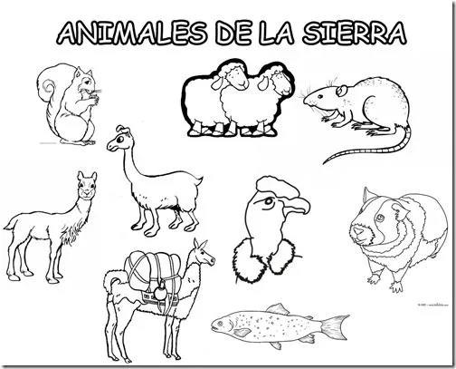 colorear animales peruanos | Colorear