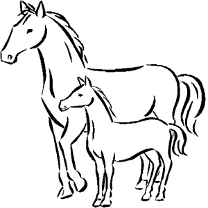 colorear caballo. tierno dibujo de una yegua con su potrillo. 