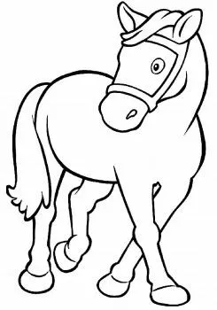 colorear caballos. Es un caballo pequeño, listo para acariciarlo y pintarlo con muchos colores.
