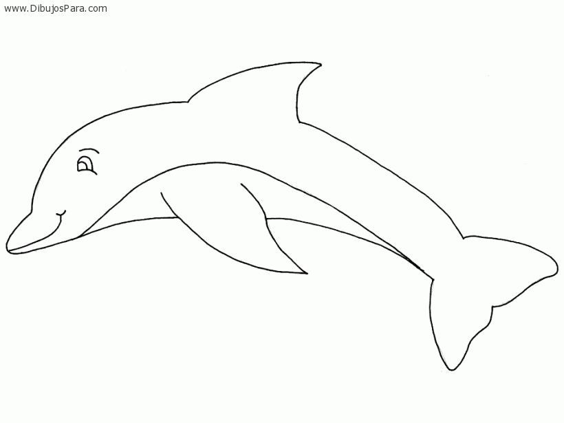  ... para colorear | Dibujos de Delfines para Pintar | Dibujos para