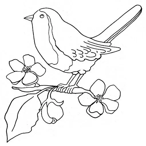 COLOREAR DIBUJOS DE PAJAROS | Dibujos para colorear COLOREAR DIBUJOS DE PAJAROS | Dibujos para colorear