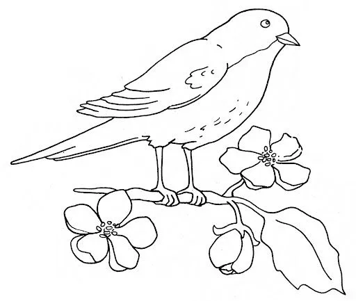 COLOREAR DIBUJOS DE PAJAROS | Dibujos para colorear COLOREAR DIBUJOS DE PAJAROS | Dibujos para colorear