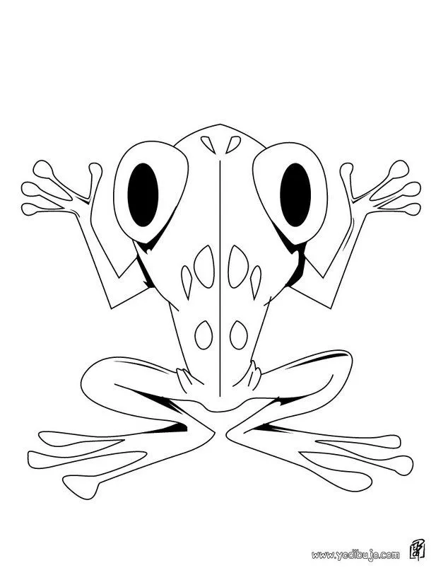 Colorear dibujos RANA, la rana y el pez para imprimir