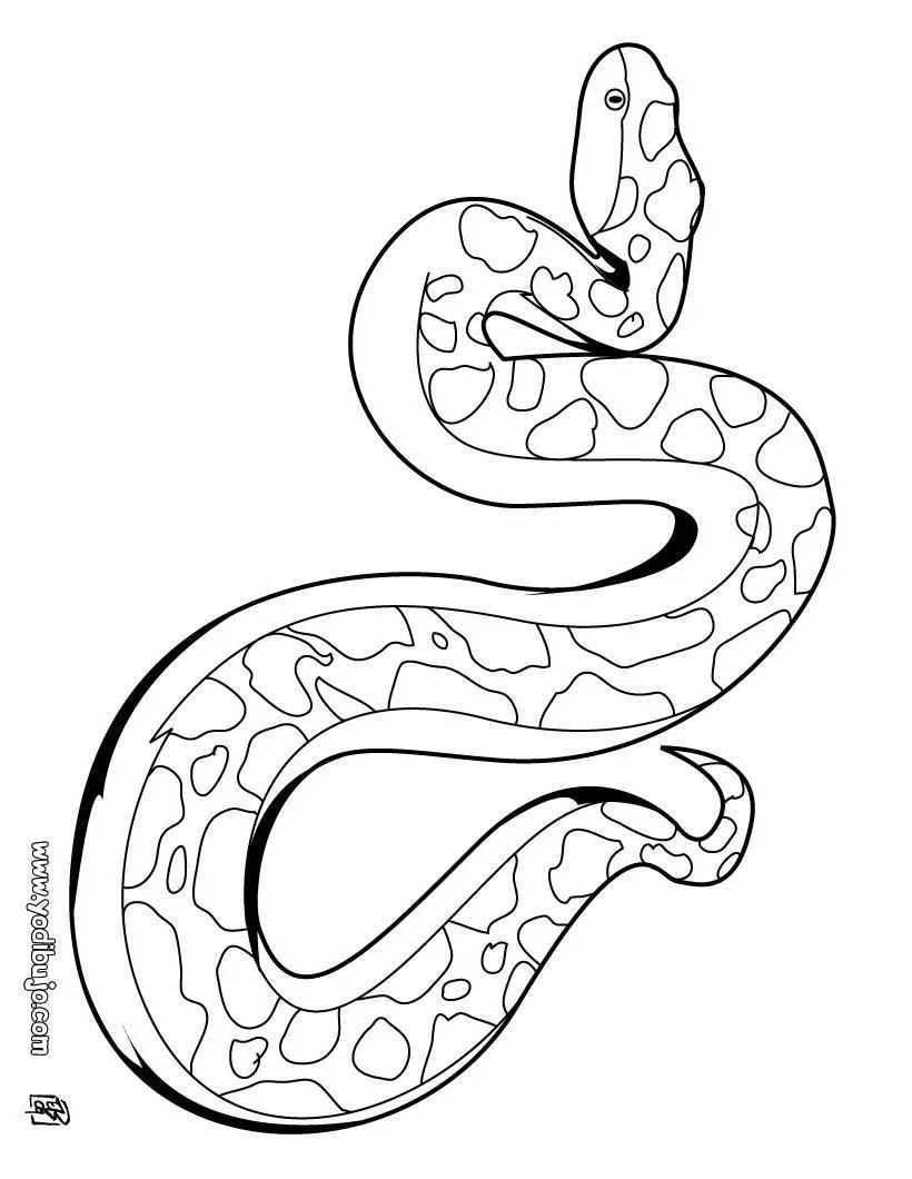 Colorear dibujos SERPIENTE, serpiente de cascabel para imprimir Colorear dibujos SERPIENTE, serpiente de cascabel para imprimir