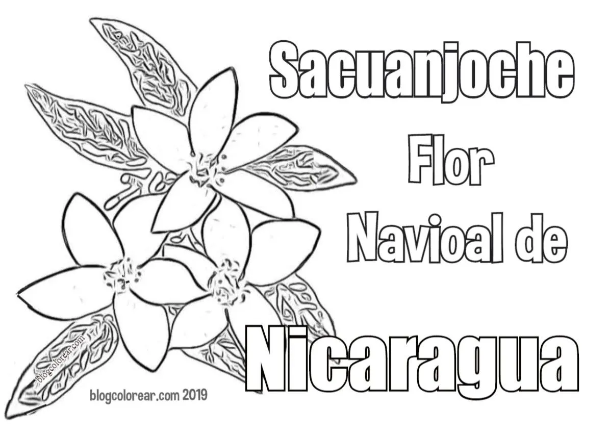 Colorear flor de Nicaragua - Colorear dibujos infantiles