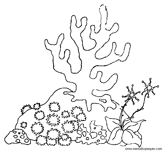 Dibujos de corales marinos - Imagui