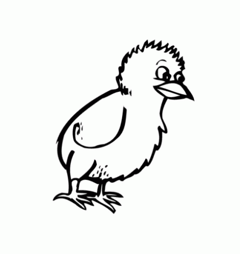Dibujo de pollito para colorear - Imagui