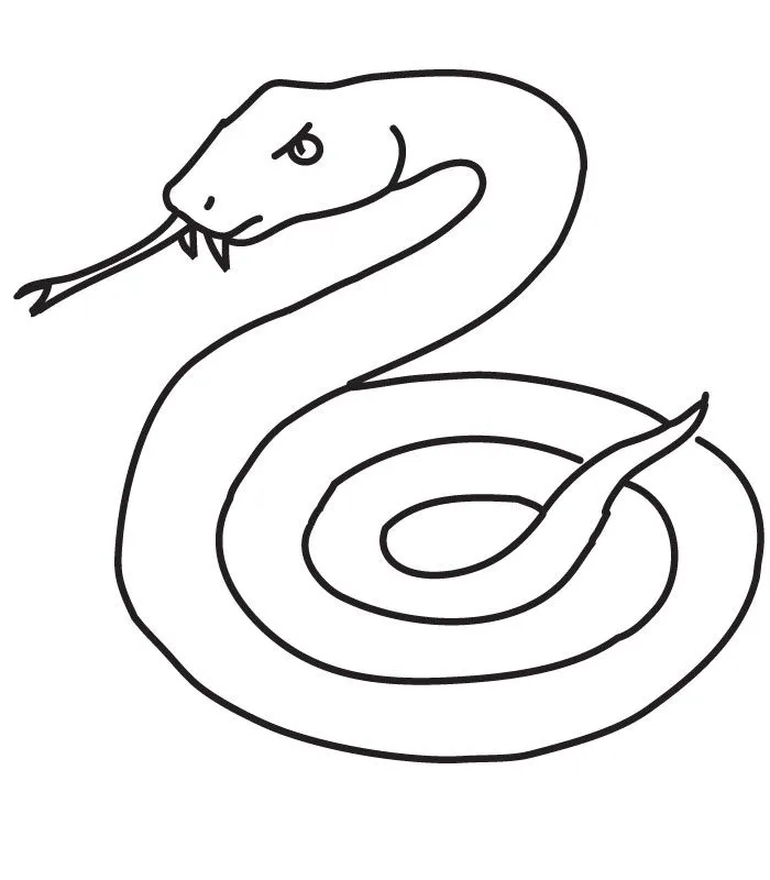 ... and coloring pages dibujos serpiente colorear caballo colorear loro ... and coloring pages dibujos serpiente colorear caballo colorear loro