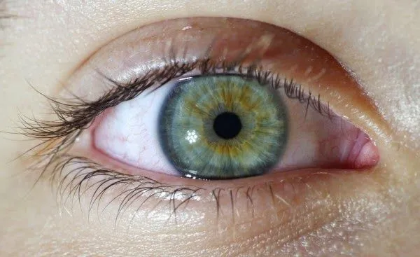 Colores de Los Ojos Humanos: Desde el Marrón hasta el Rojo | LA ...