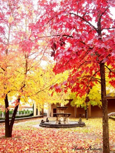 Paisajes bonitos de otoño - Imagui
