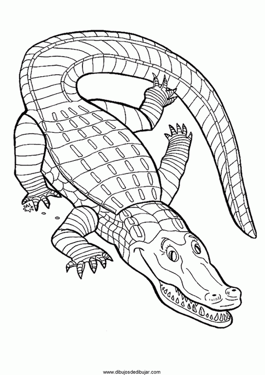 coloring-crocodiles-alligators-045 | Dibujos de dibujarDibujos de ...