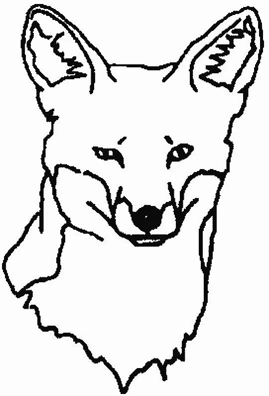 Coloring Page - Fox animals coloring pages 16 Coloring Page - Fox animals coloring pages 16
