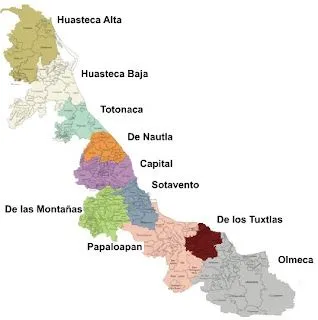 Columnas en Tabasco: Veracruz / Ordena recuento de votos en tres ...