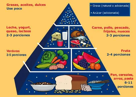 Piramide alimenticia con los contenidos en inglés - Imagui