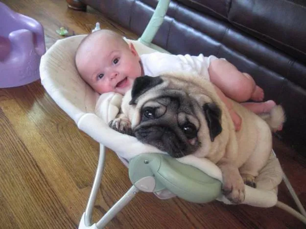 Community Post: 50 Toddlers Who Are Best Friends With Their Dogs ...