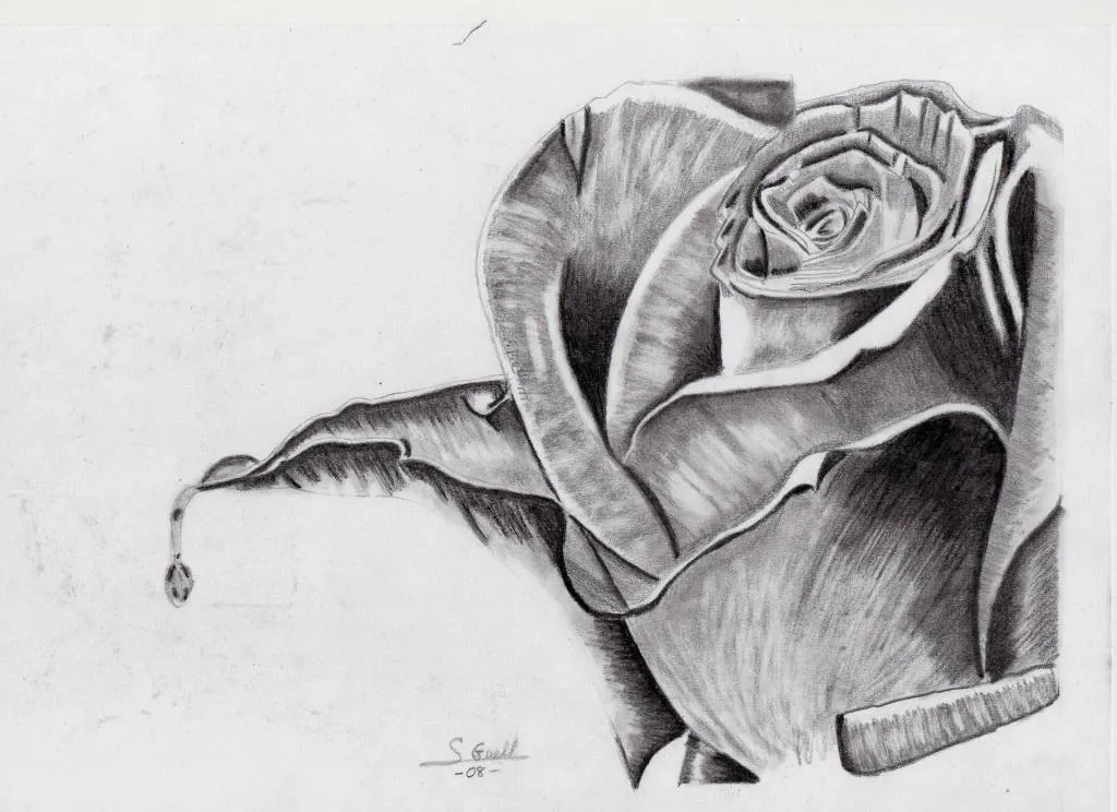 Como dibujar una rosa en 3D a lápiz paso a paso - Imagui