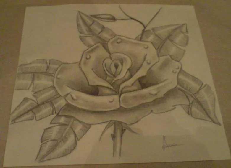Rosa dibujada a lapiz 3D - Imagui
