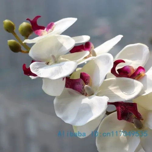Compra flor de la orquídea madre online al por mayor de China ...