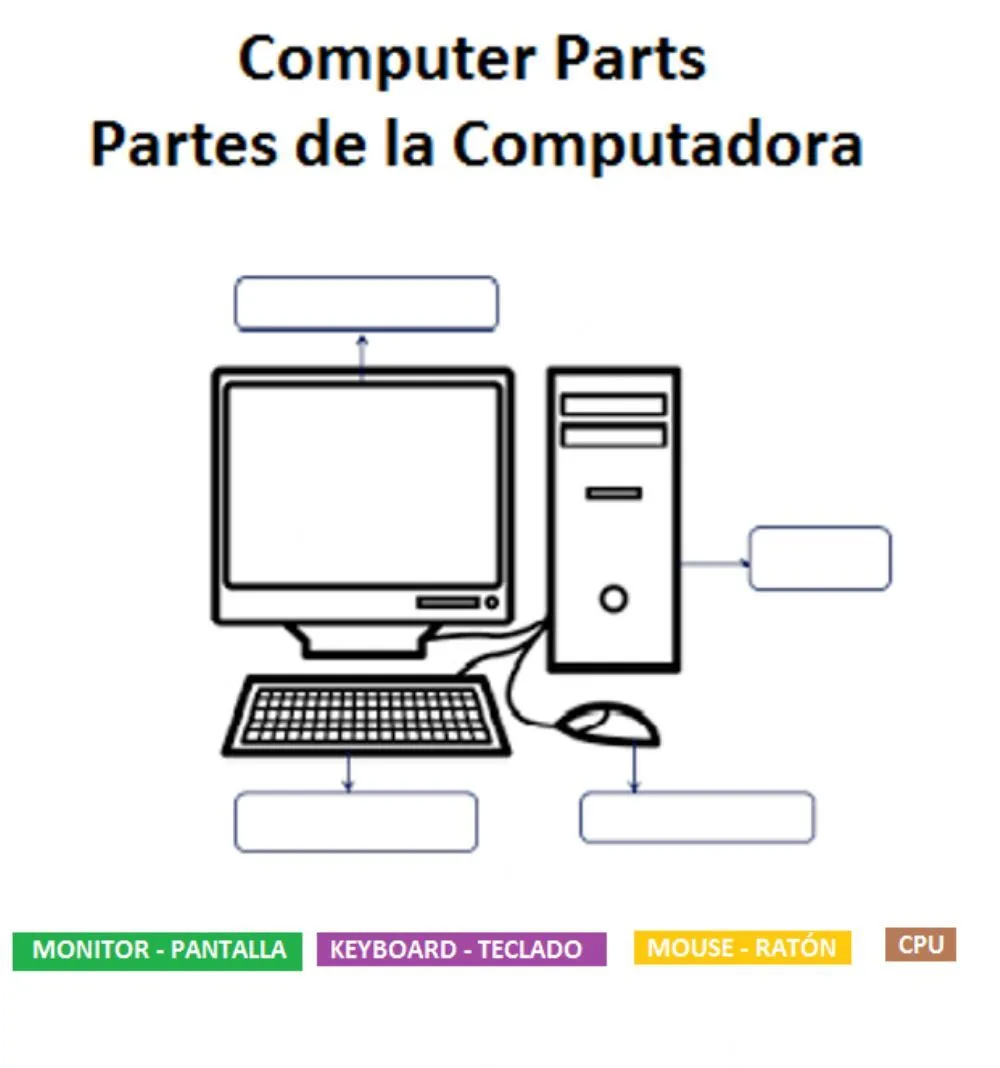 Computer Parts - Partes de la Computadora | Computer drawing, Elementary  computer lab, Computer basic