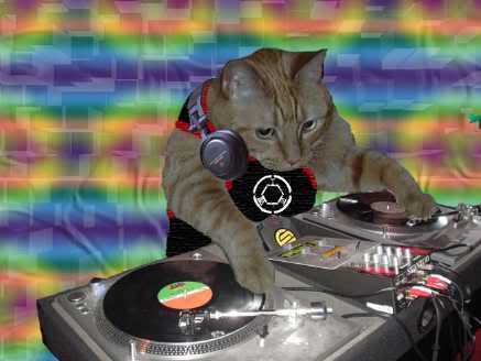 Comtú Gourmets: Para Gatos con Espiritu de DJ Comtú Gourmets: Para Gatos con Espiritu de DJ