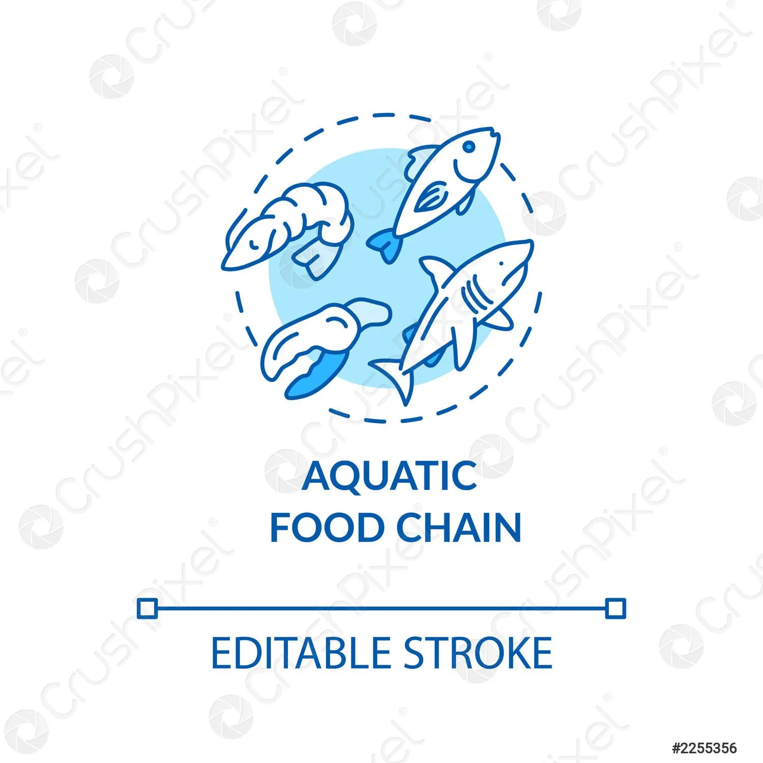 Concepto de cadena alimentaria acuática icono productor de energ - vector  de stock 2255356 | Crushpixel