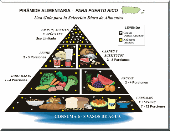 CONCEPTOS BÁSICOS DE NUTRICIÓN © 2002 Edgar Lopategui Corsino