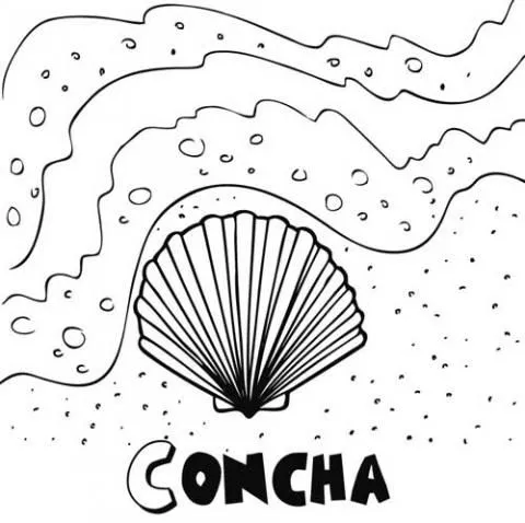 Concha dibujo - Imagui
