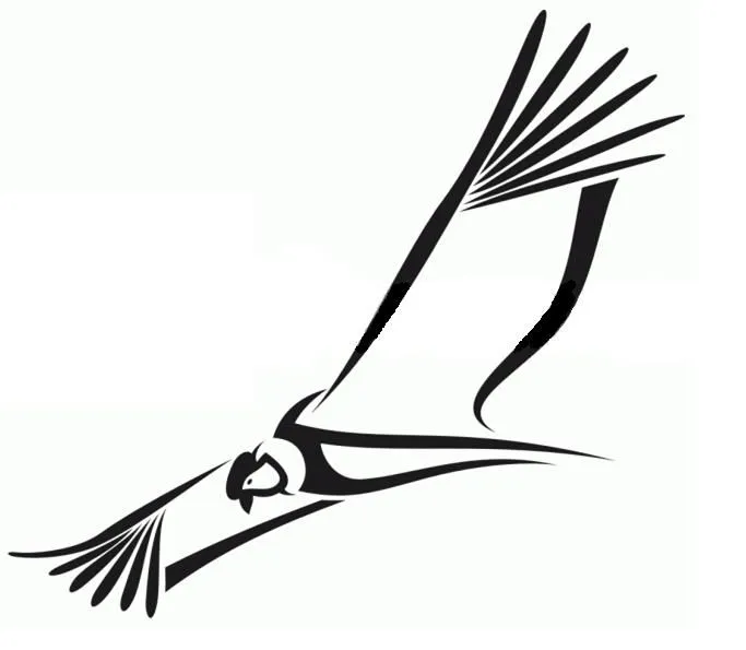 Dibujo de un condor facil - Imagui