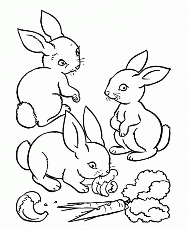  de Conejos para colorear. Dibujos infantiles de Conejos. Colorear ...