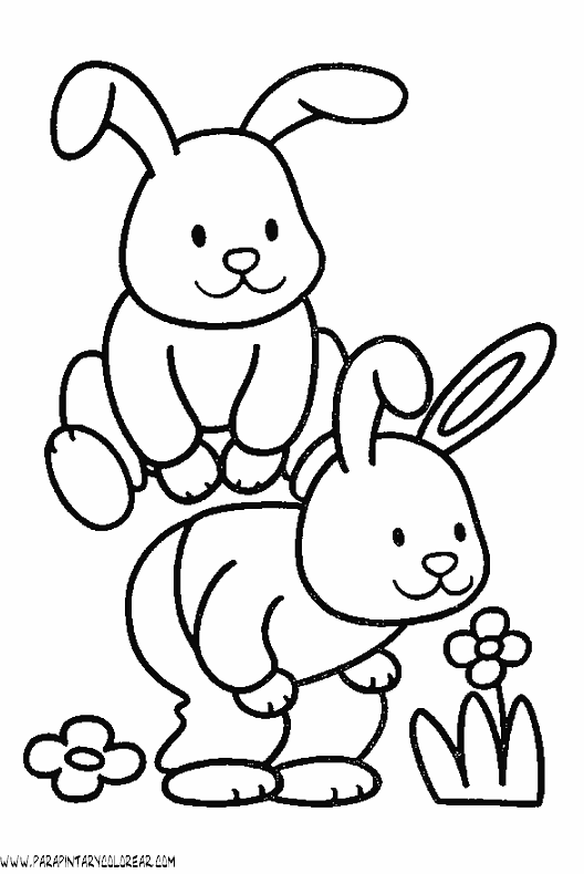 dibujos-de-conejos-101