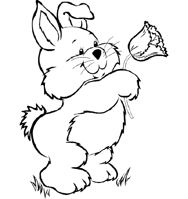 Dibujos para colorear de conejos