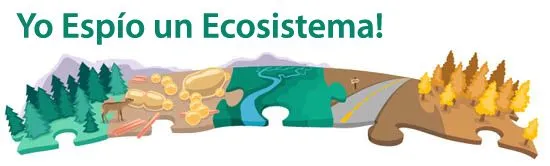 Conexiones entre Ecosistemas | ASU - Ask A Biologist