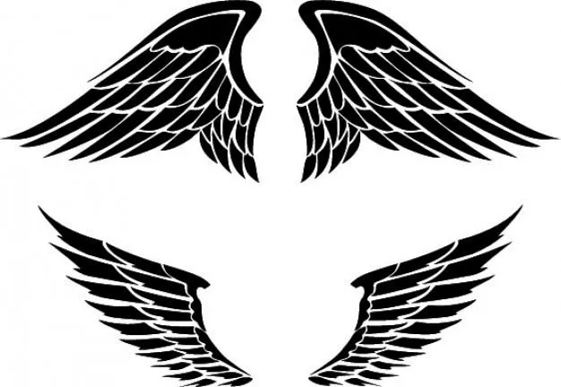 Conjunto de dos alas diseños | Descargar Vectores gratis