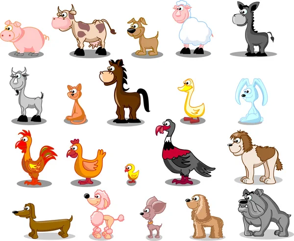 conjunto de dibujos animados animales domésticos — Vector stock ...