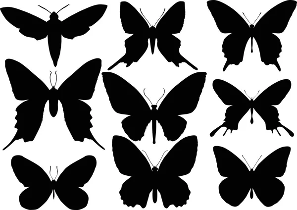 conjunto de nueve formas de alas de mariposa — Vector stock © Dr ...