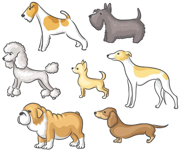 Conjunto de perros de dibujos animados — Vector stock ...