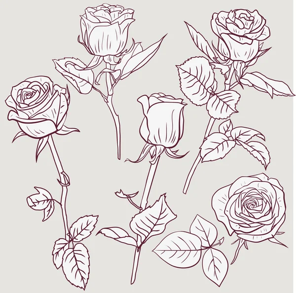 Conjunto de rosas dibujo lineales — Vector stock © cat_arch_angel ...