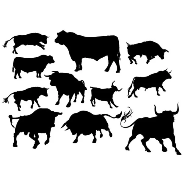 Conjunto de toros enojados — Vector stock © Paula13 #19478433