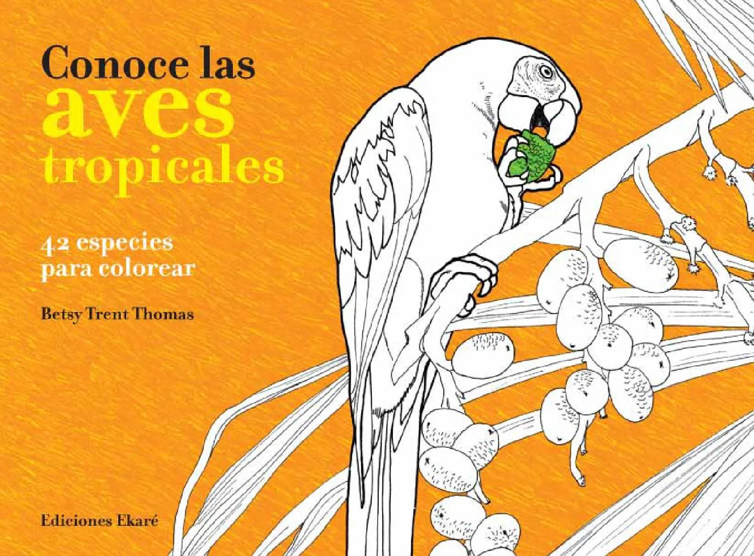 Conoce las aves tropicales by Ediciones Ekaré - Issuu