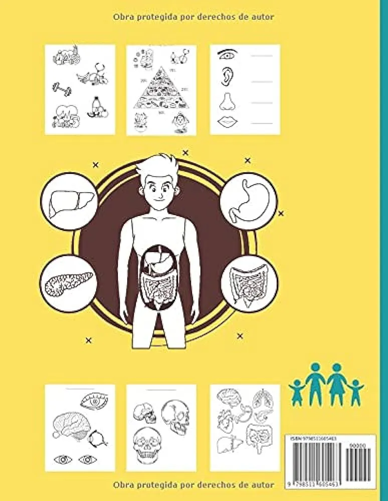 Conozco mi cuerpo Libro para colorear para niños: Anatomía humana Órganos  del cuerpo Libro para colorear para niños y estudiantes de jardín de  infancia (Spanish Edition) : School, Randolph G.: Amazon.com.mx: Libros