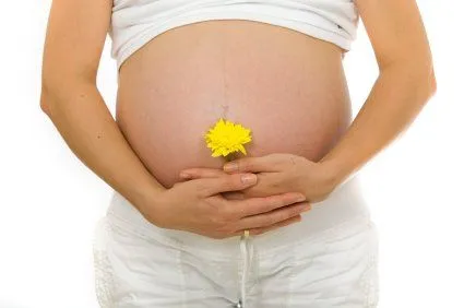 Consejos, Trucos y Remedios: Remedios naturales durante el embarazo