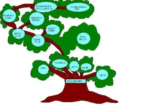 Imagenes de arboles genealogicos - Imagui