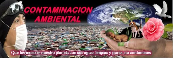 CONTAMINACIÓN DEL MEDIO AMBIENTE : Frases de Contaminación Ambiental