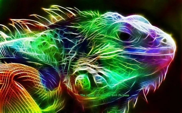 Cool Neon Iguana | Amazing Art | Pinterest | Neon